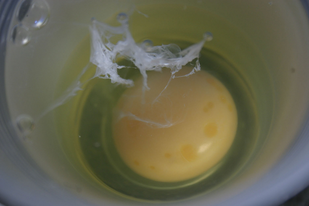 Пить домашние яйца. Яичный белок в воде.