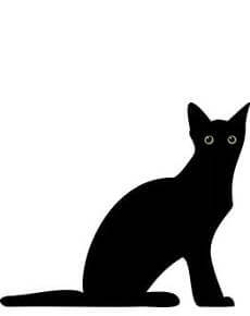 Гадания Могуры: наш символ кошка